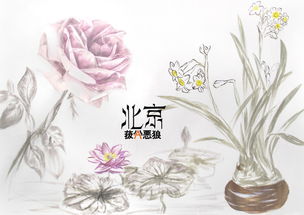 《養(yǎng)花》老舍劃分段落