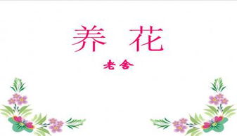 關(guān)于養(yǎng)花心得的作文的格式