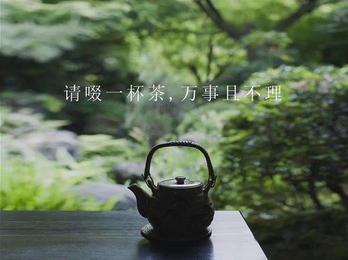 獨(dú)品清茶細(xì)聽雨淡笑塵世靜養(yǎng)花