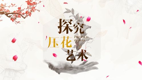 2021智慧樹(shù)大學(xué)生創(chuàng)新創(chuàng)業(yè)課筆記,2021智慧樹(shù)大學(xué)生創(chuàng)新創(chuàng)業(yè)課答案,智慧樹(shù)大學(xué)生創(chuàng)新創(chuàng)業(yè)答案2021