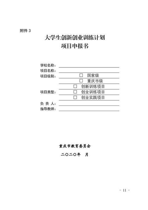 計(jì)劃書,創(chuàng)業(yè)項(xiàng)目,創(chuàng)新,大學(xué)生