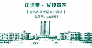 大學生創(chuàng)新創(chuàng)業(yè)團隊分工有哪些,大學生創(chuàng)新創(chuàng)業(yè)團隊分工,創(chuàng)新創(chuàng)業(yè)團隊分工介紹