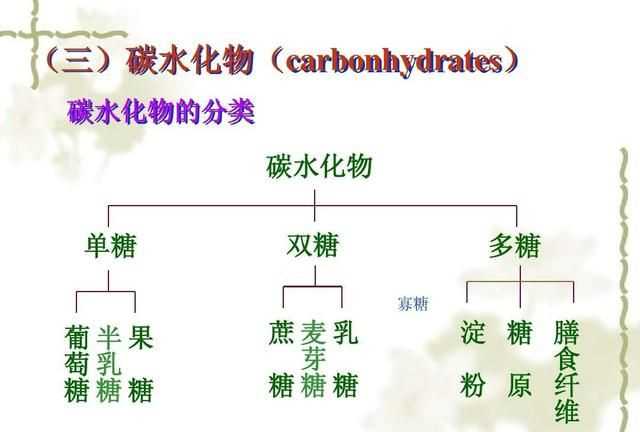 什么是碳水化合物，什么是碳水水化合物？圖3