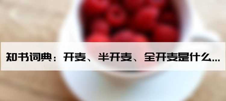 怎么區(qū)分全開(kāi)麥和半開(kāi)麥音響