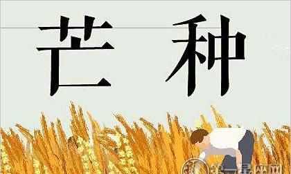 仲夏末尾是幾月幾日