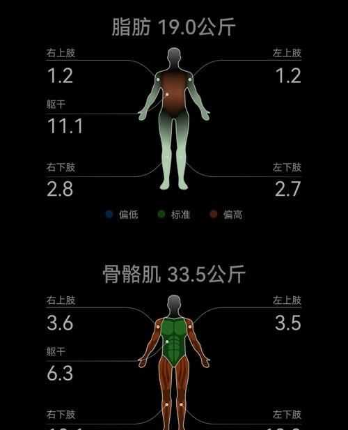 力量訓練后體脂會下降是為什么呢