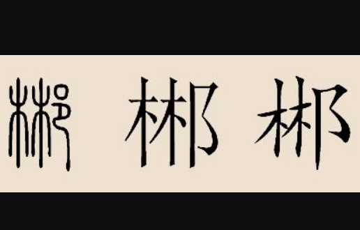 木木耳是什么字,一個(gè)木一個(gè)耳讀什么字啊圖4