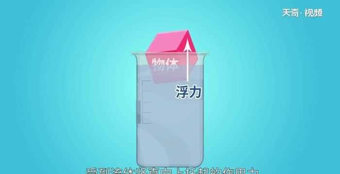 浮力公式中的v排是什么意思