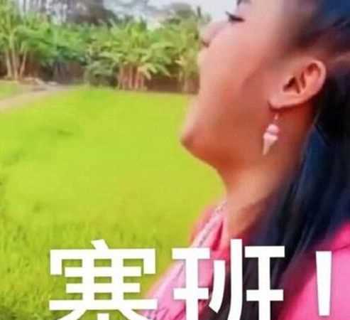 用來形容手機的：塞班是什么意思