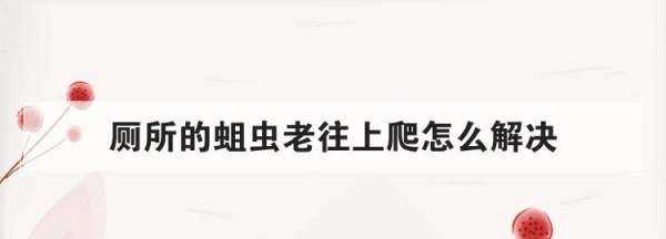 農(nóng)村廁所老有蛆往出爬怎么辦,蹲廁有蛆爬上來(lái)怎么辦圖1