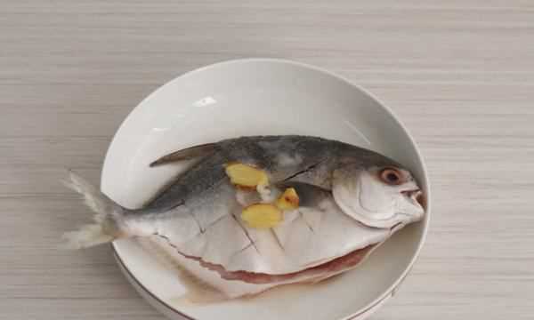 鯧魚怎么做最好吃又簡單,鯧魚怎么做好吃又簡單圖4