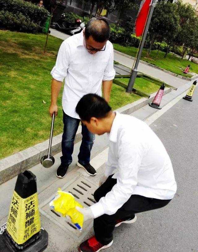 花蚊子怎么消滅掉（必須學(xué)會(huì)四招輕松滅絕花蚊子）