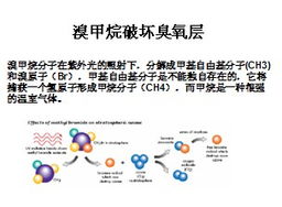 有毒有害氣體安全知識培訓(xùn)