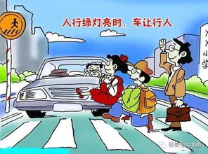 汽車安全交通知識(shí)