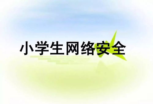 小學(xué)網(wǎng)絡(luò)安全知識總結(jié)