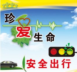 中小學(xué)生交通安全知識(shí)作文