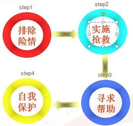 安全救護(hù)知識(shí)培訓(xùn)計(jì)劃