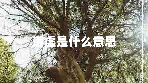 謙虛是什么意思