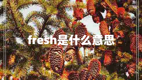 fresh是什么意思