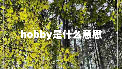 hobby是什么意思