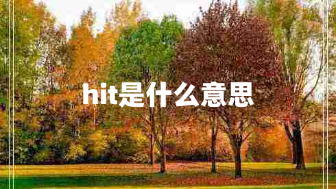 hit是什么意思