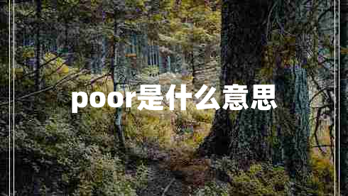 poor是什么意思