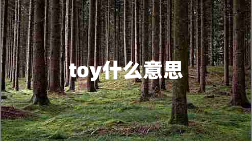 toy什么意思