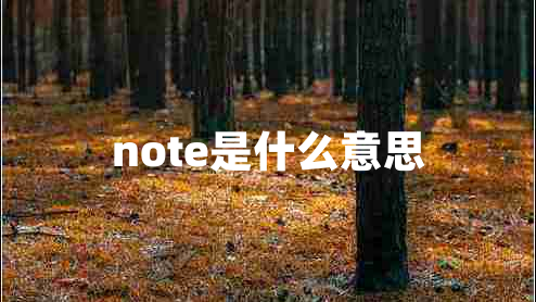 note是什么意思