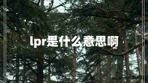 lpr是什么意思啊