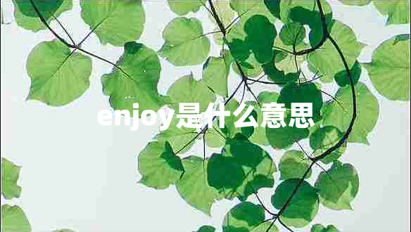 enjoy是什么意思