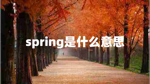 spring是什么意思