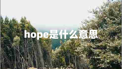 hope是什么意思