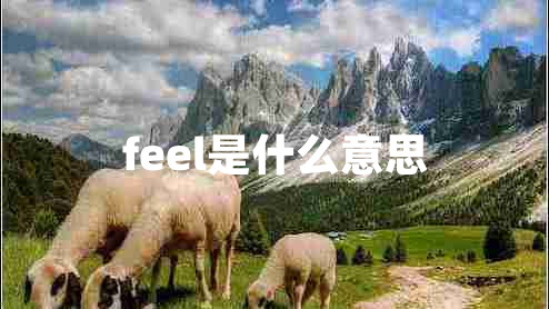 feel是什么意思