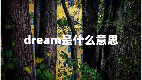 dream是什么意思