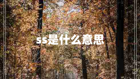 ss是什么意思