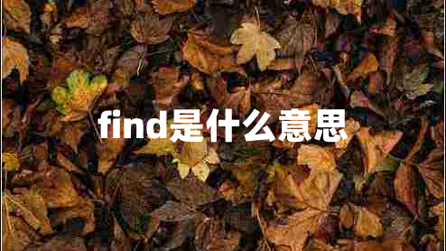 find是什么意思