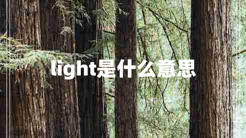 light是什么意思