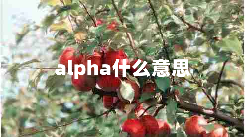 alpha什么意思