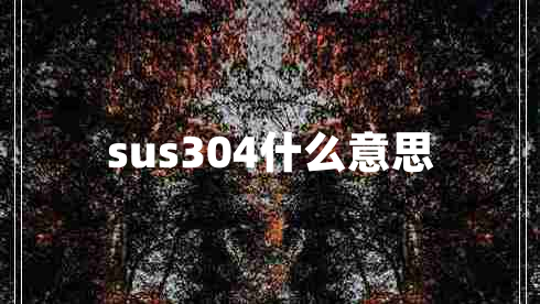 sus304什么意思