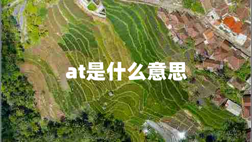 at是什么意思