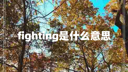 fighting是什么意思