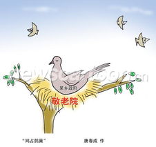 鳩占鵲巢典故,鳩占鵲巢典故由來,鳩占鵲巢典故說明