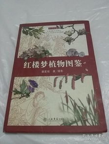 草木皆兵的典故成語,成語草木皆兵的典故出自,草木皆兵成語意思