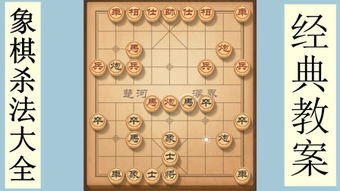 國(guó)際象棋,典故