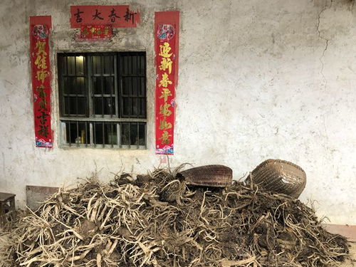 鎮(zhèn)巴典故