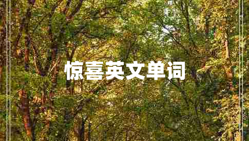 驚喜英文單詞