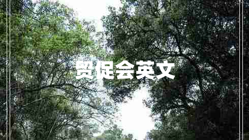 貿(mào)促會英文