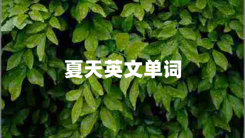 夏天英文單詞