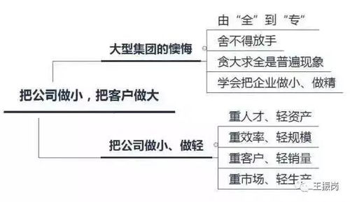 聯(lián)盟策劃方案流程