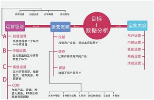 新媒體培訓(xùn)策劃方案